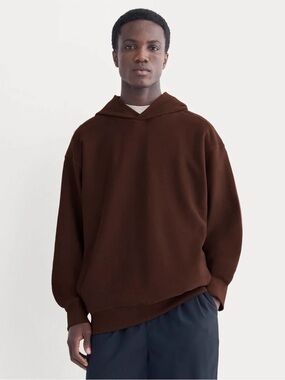 Everlane Chocolate Brown Hooded Pullover Sweatshirt